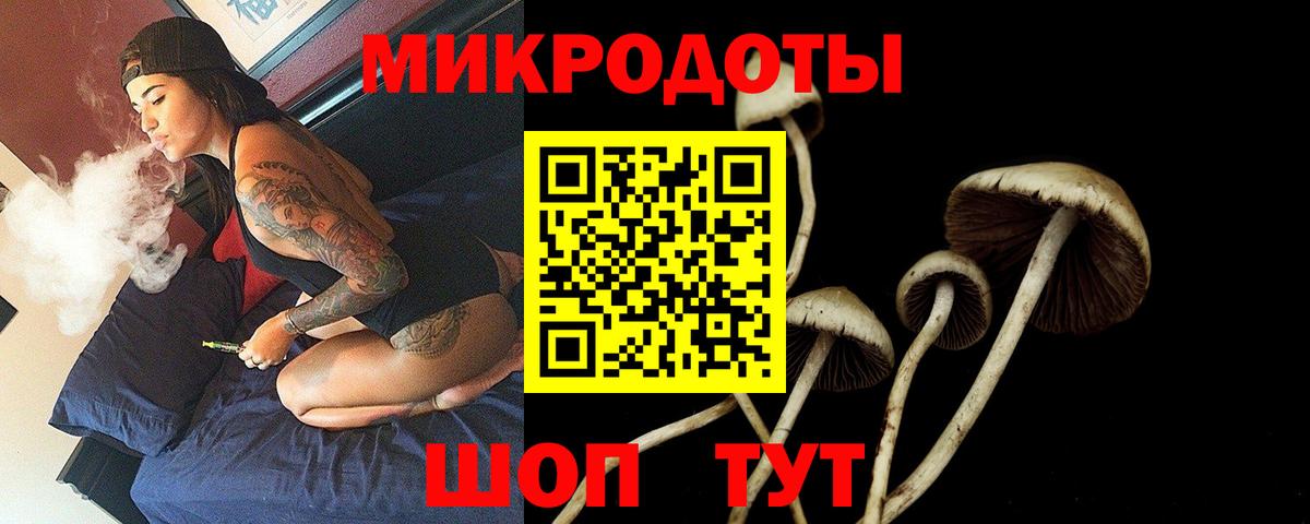 Мелеуз  Галлюциногенные грибы Magic Shrooms  Вход с VPN 