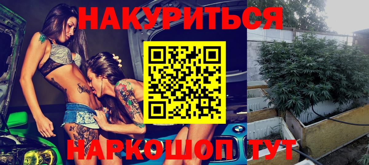Бошки марихуана гибрид Мелеуз